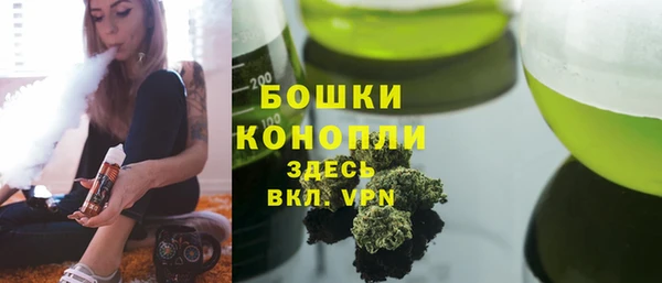 дмт Белокуриха