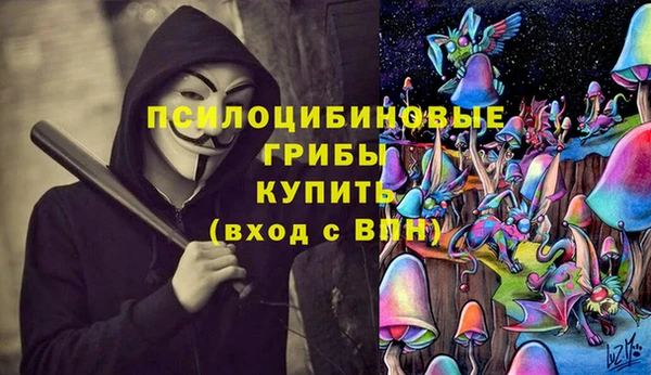 каннабис Беломорск